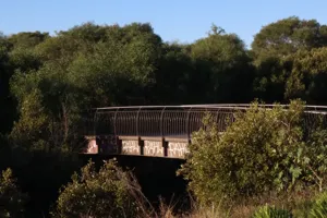 2025-06-21 Bartons Park - IMG_2543_compressed_q50.webp